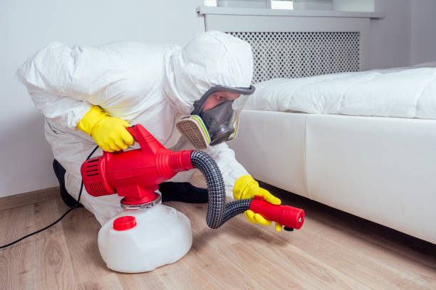 Best Real Estate Pest Inspections  in West Peoria, IL